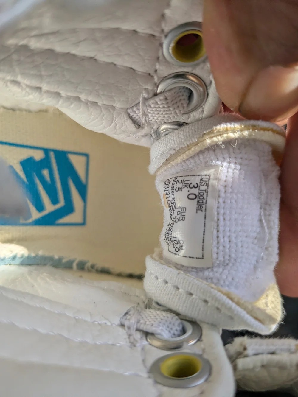 Vans white high